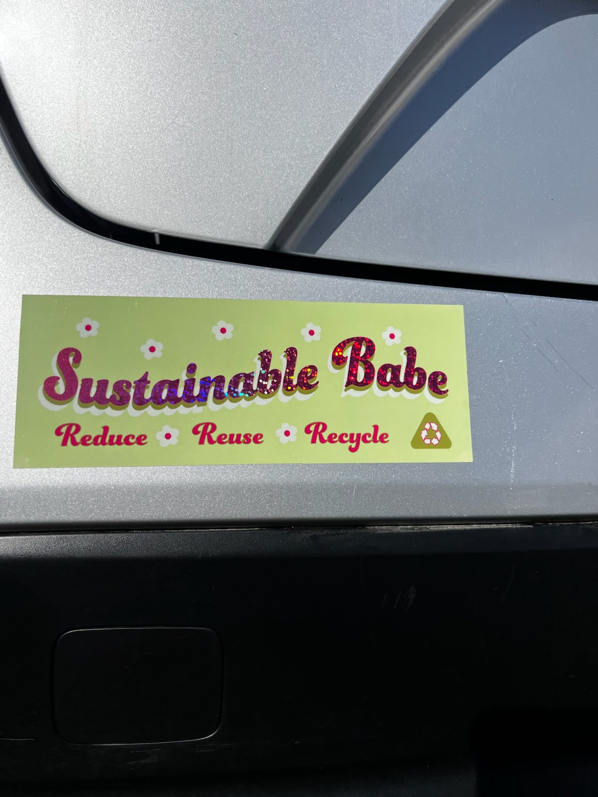 Sustainable Babe Bumper Sticker
