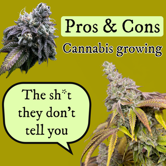 Pros and Cons of Growing